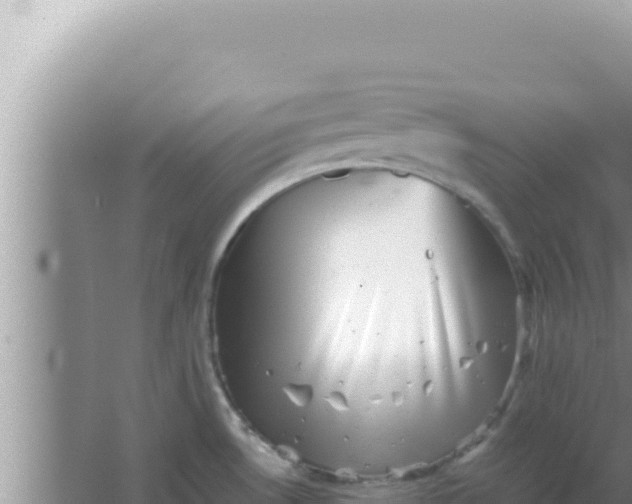 X0000066961530200604071951