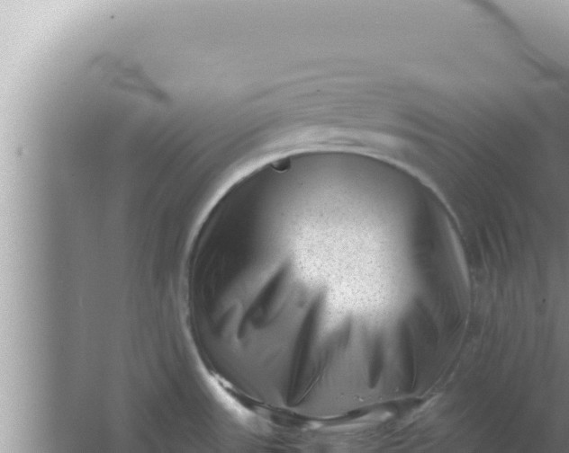 X0000066961531200604071951