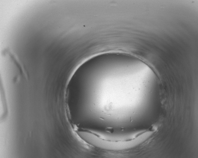 X0000066961532200604071951