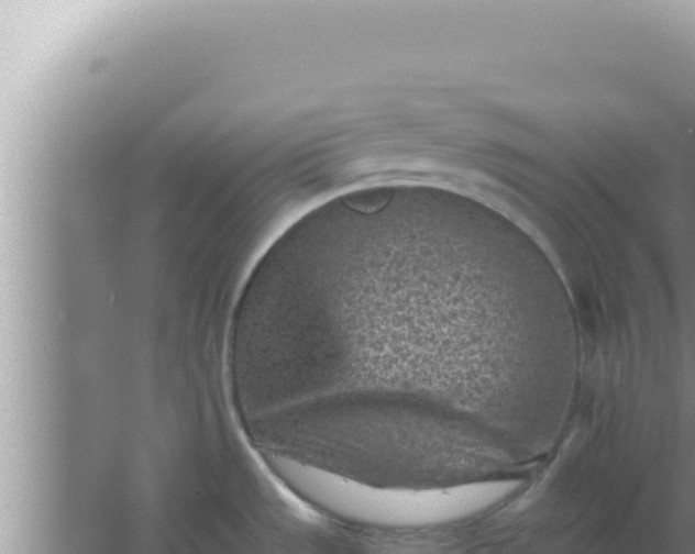 X0000066961533200604071951