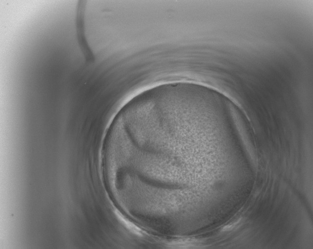 X0000066961535200604071951