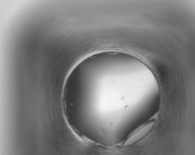 X0000066961536200604071951