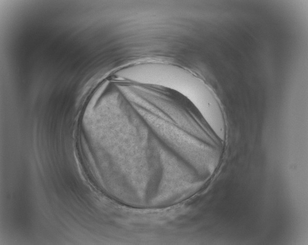 X0000066960001200604142127