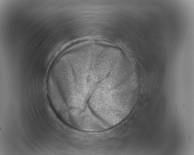 X0000066960002200604142127