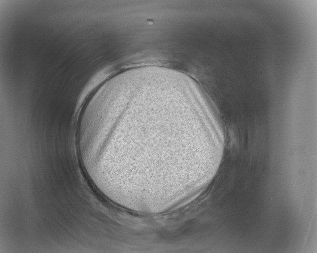 X0000066960004200604142127