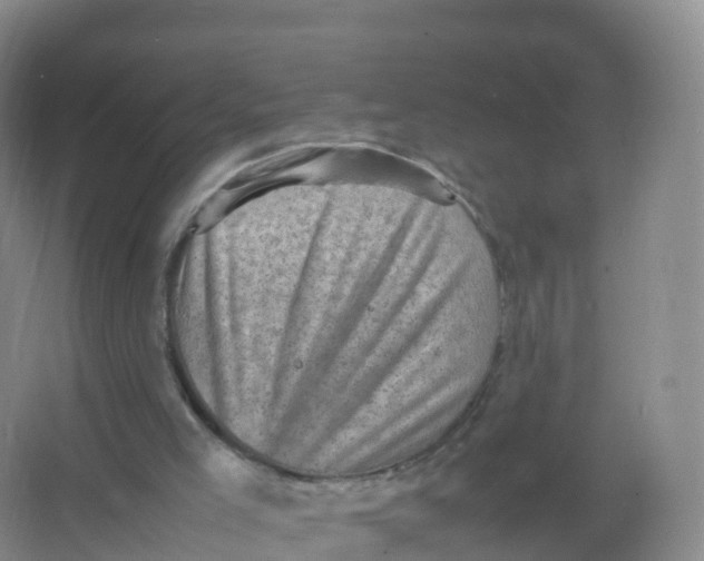 X0000066960005200604142127