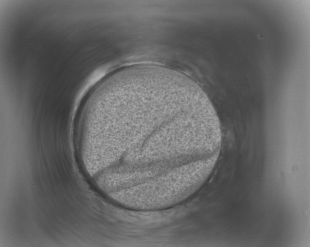 X0000066960006200604142127