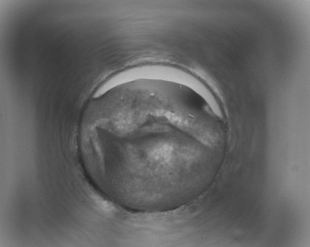 X0000066960009200604142127