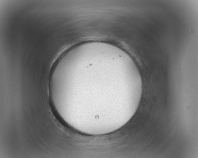 X0000066960011200604142127