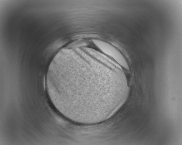 X0000066960013200604142127