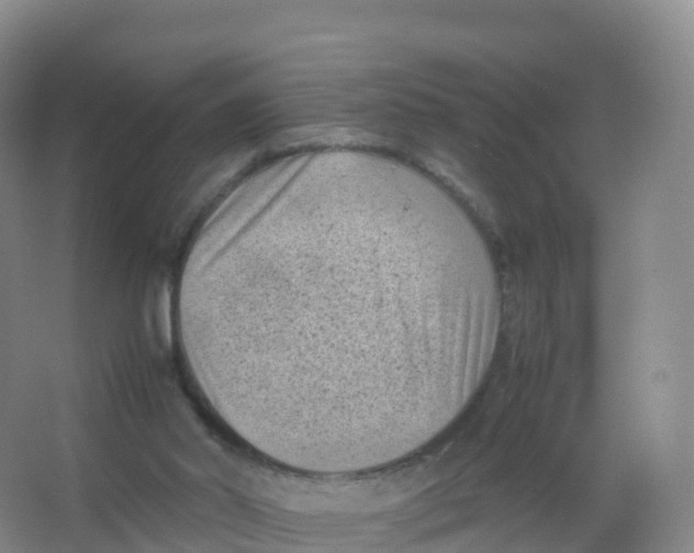 X0000066960014200604142127