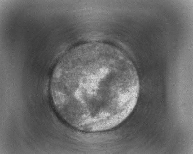 X0000066960018200604142127