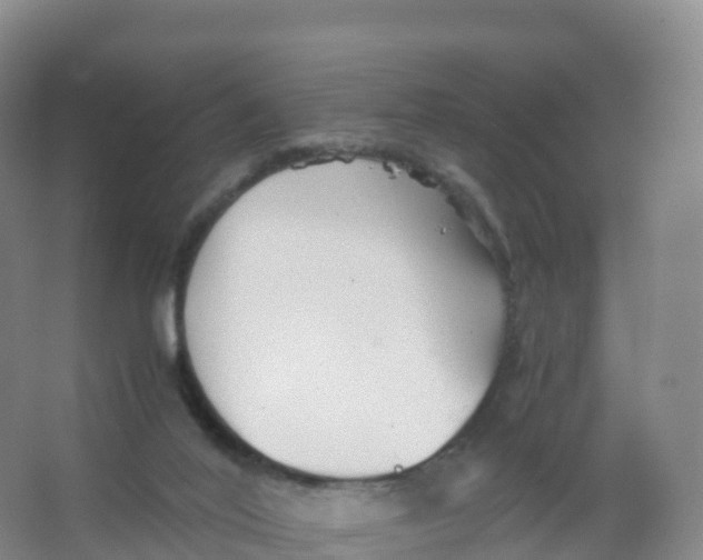 X0000066960020200604142127