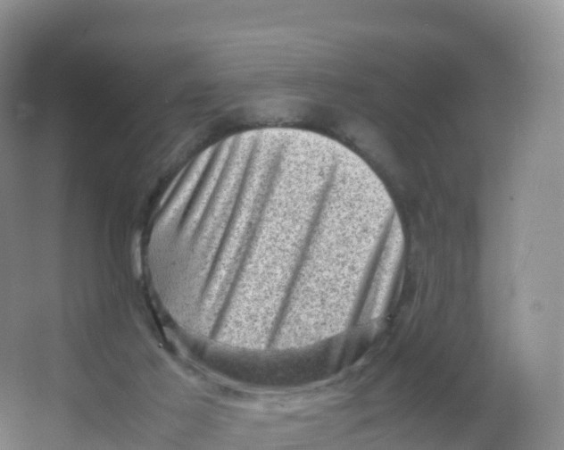 X0000066960021200604142127