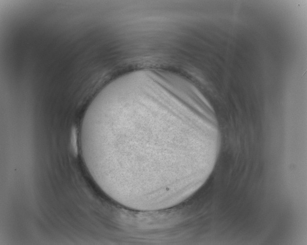 X0000066960022200604142127