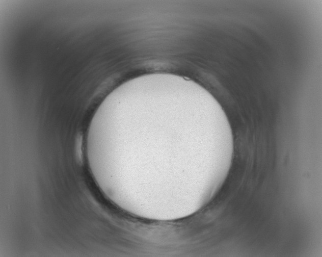 X0000066960024200604142127