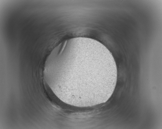 X0000066960025200604142127