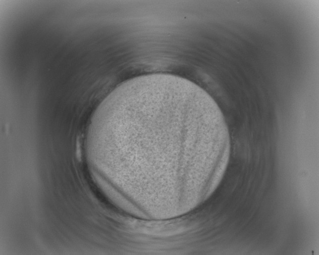 X0000066960026200604142127