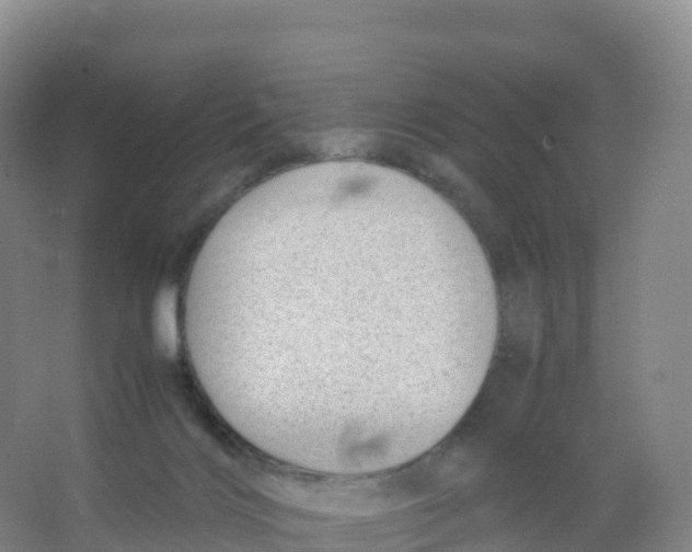 X0000066960028200604142126