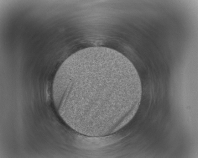 X0000066960030200604142126