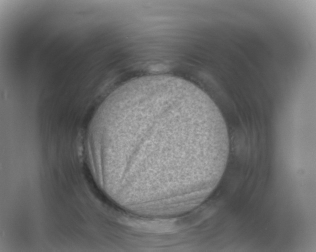 X0000066960032200604142126