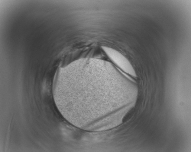 X0000066960033200604142126