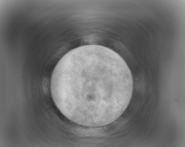 X0000066960036200604142126