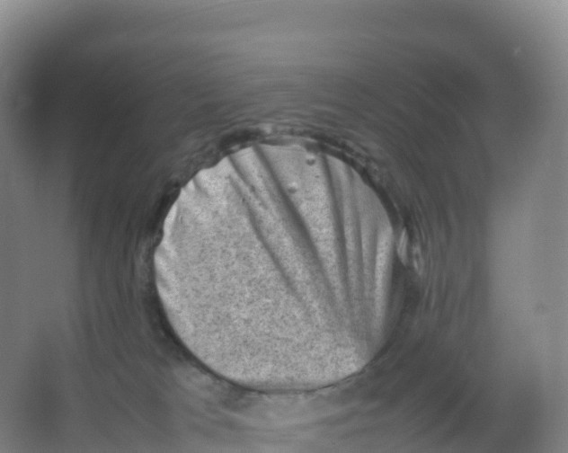 X0000066960037200604142126