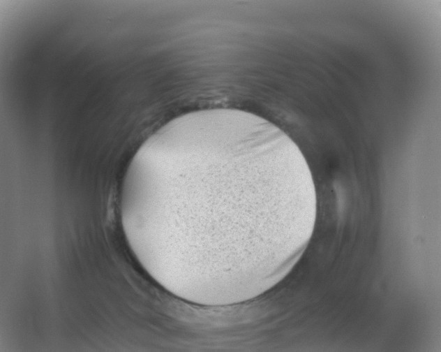 X0000066960038200604142126