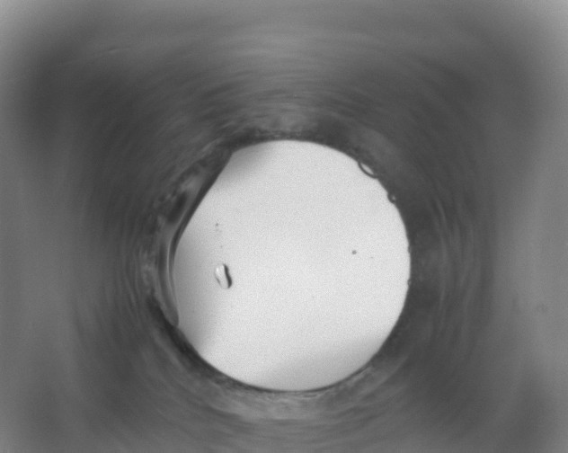 X0000066960040200604142126