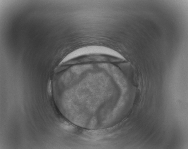 X0000066960041200604142126