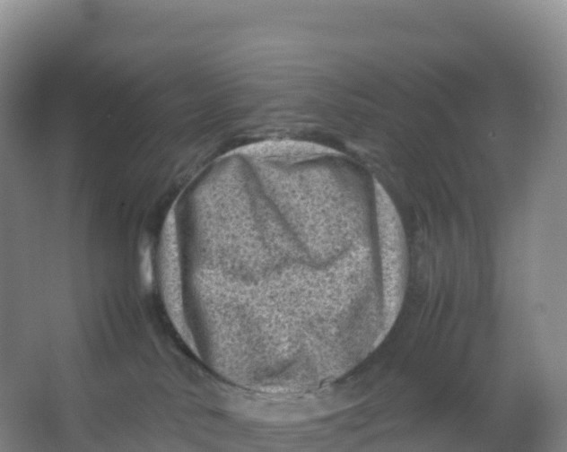 X0000066960042200604142126