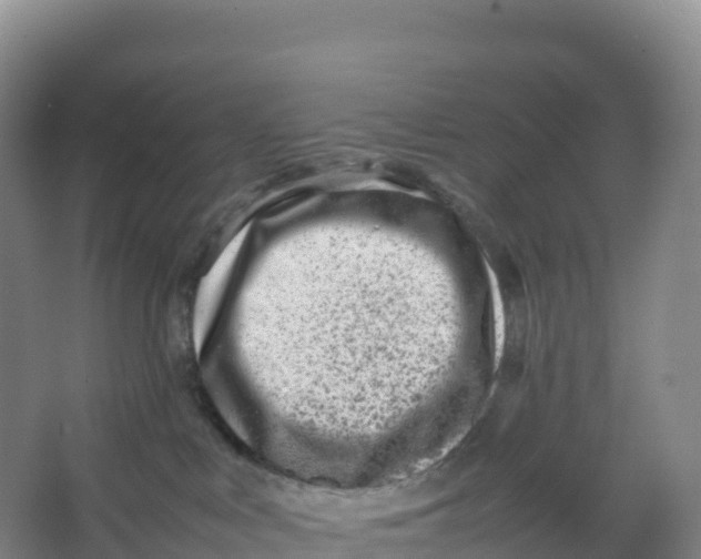 X0000066960043200604142126