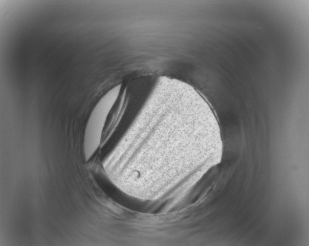 X0000066960045200604142126