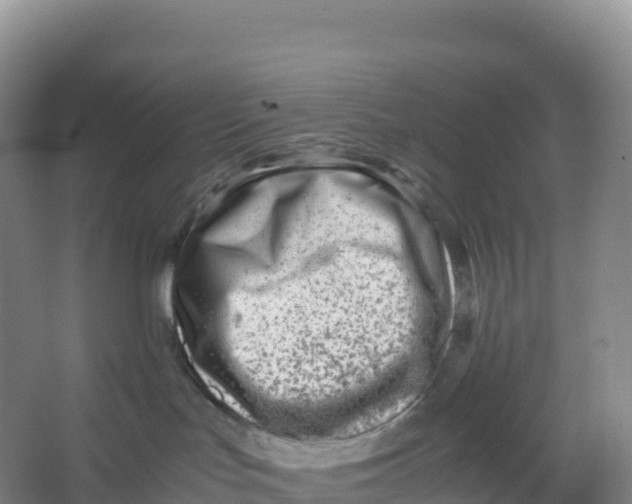 X0000066960047200604142126