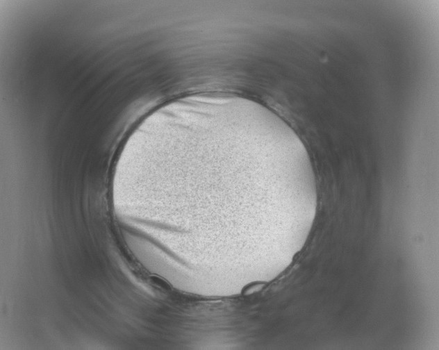 X0000066960050200604142125