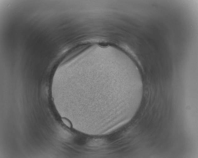 X0000066960063200604142126