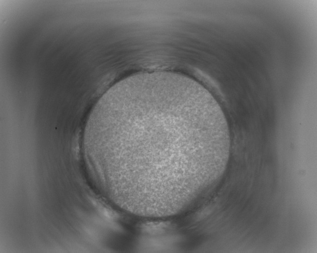 X0000066960065200604142126