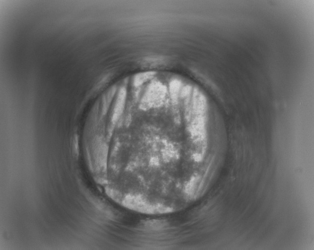 X0000066960067200604142126