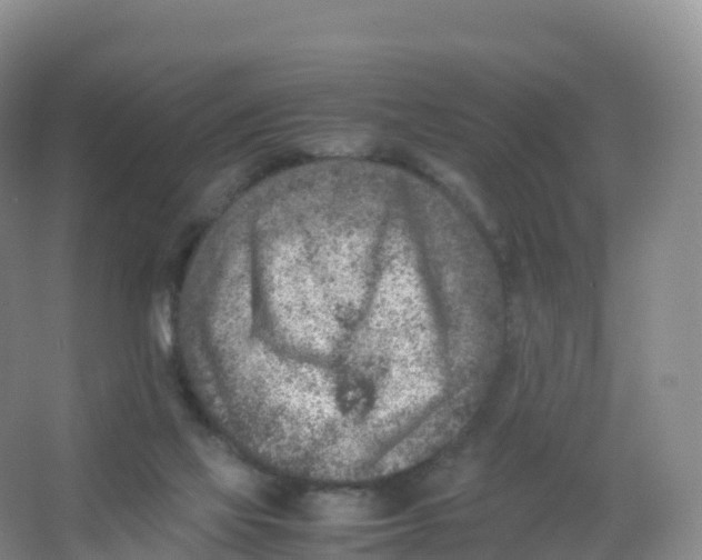 X0000066960069200604142126