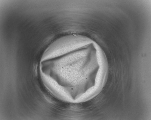 X0000066960070200604142126