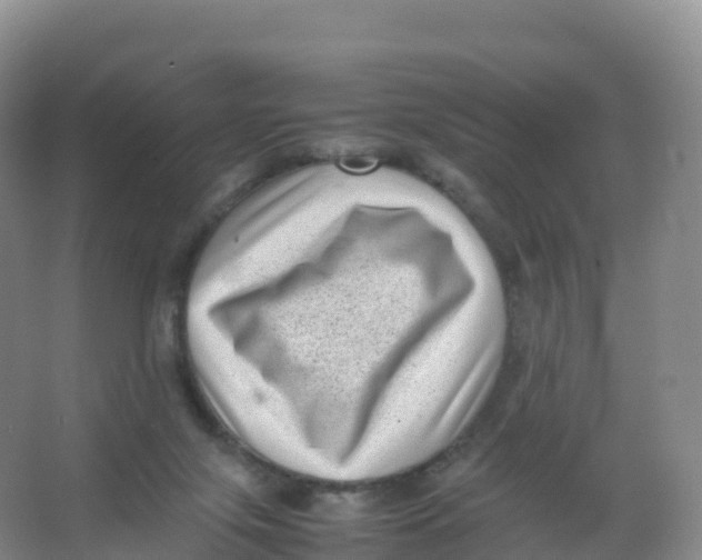 X0000066960071200604142126