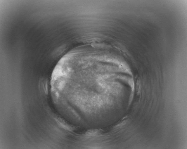 X0000066960076200604142126