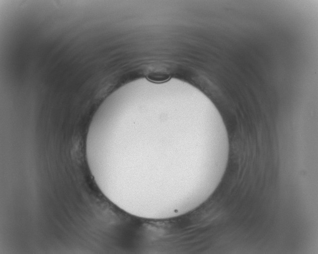 X0000066960079200604142126