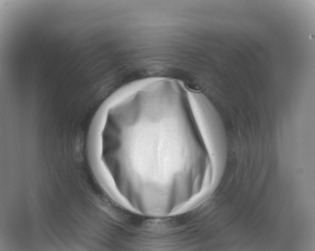 X0000066960082200604142126