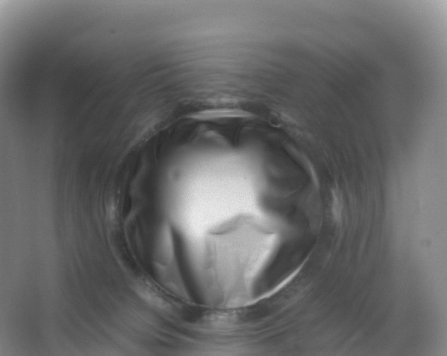 X0000066960084200604142126