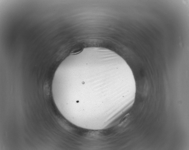 X0000066960086200604142126