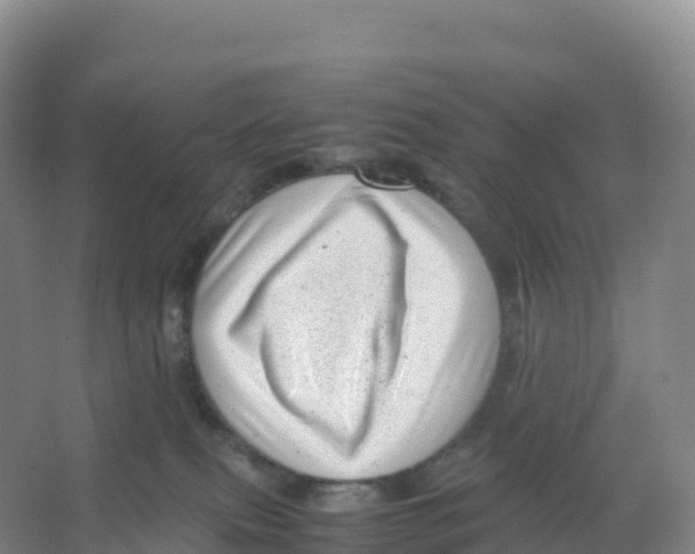 X0000066960087200604142126