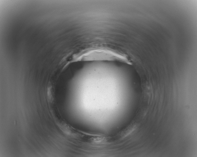 X0000066960088200604142126