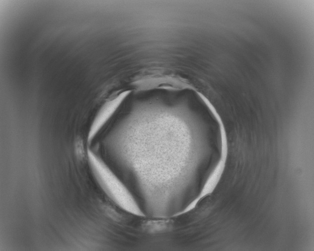 X0000066960089200604142126